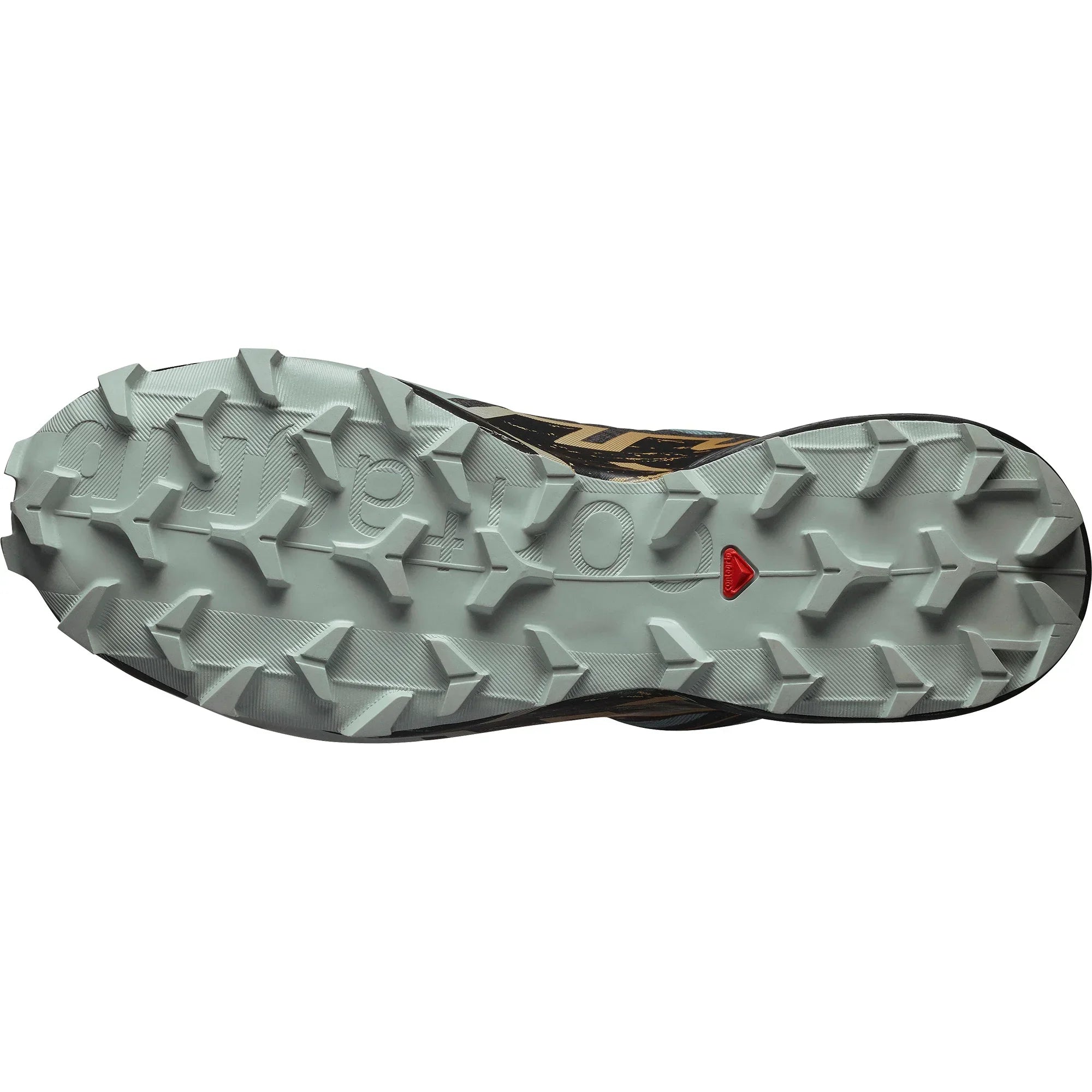 حذاء Speedcross 6 Gore-tex من اون