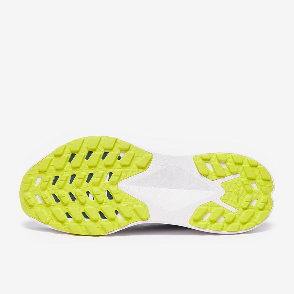 حذاء The North Face Altamesa 300
